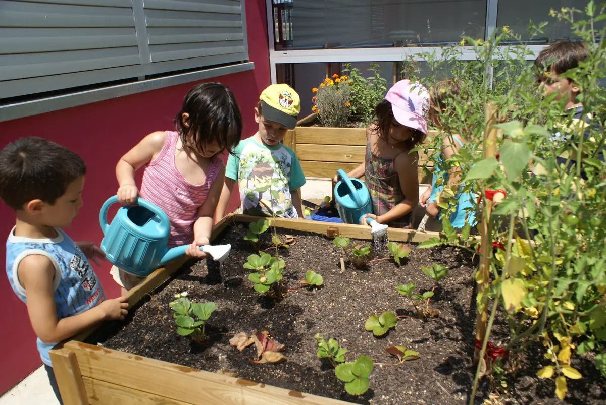 Infants regant un hort en caixes de fusta amb regadores de colors